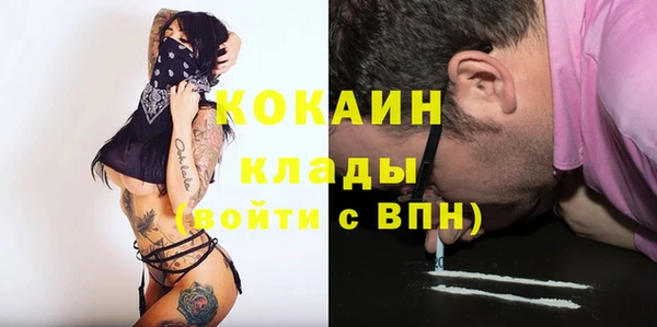 гашик Новодвинск