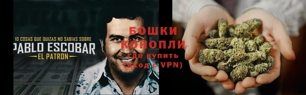 гашик Новодвинск