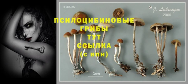 spice Новокубанск