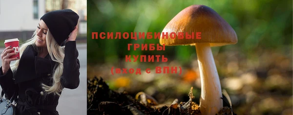 гашик Новодвинск