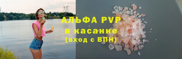 гашик Новодвинск