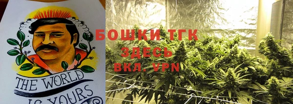 гашик Новодвинск