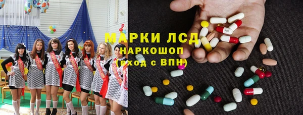 гашик Новодвинск