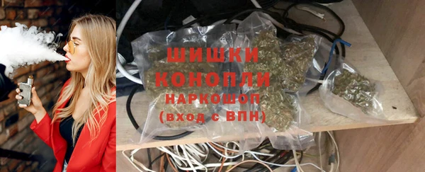 гашик Новодвинск