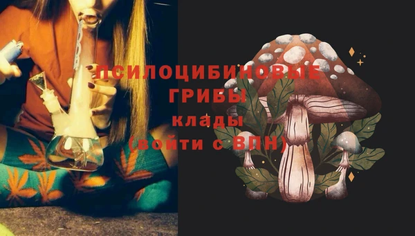 кристаллы Новозыбков
