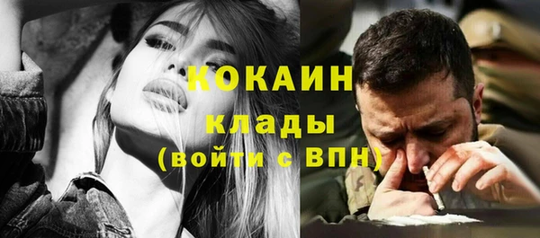 гашик Новодвинск