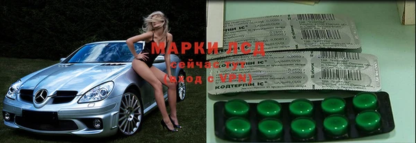 гашик Новодвинск