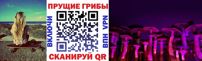 KRAKEN tor  Ак-Довурак  Псилоцибиновые грибы Psilocybine cubensis  где купить наркотик 